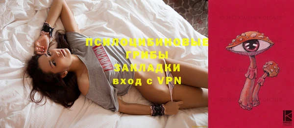 дживик Абинск