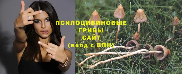 дживик Абинск
