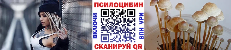 Псилоцибиновые грибы ЛСД  Томилино 